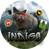 ❋ɪɴᴅɪɢᴏ ʙᴀsᴇᴅ❋