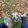 ibra228739