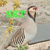 khamid2472