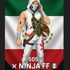 ninjaff_2025