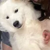 jpnpmpwgn