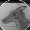 dinos_art12