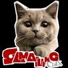 samaillingcats
