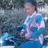 user70834963088438