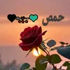 ezna1334y2n