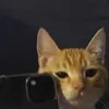 samko_24