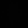 w9pqi