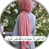 user29688767948178