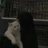 fa_313.t