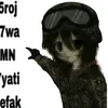 adilfartsalot5