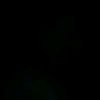 mando.elsayed