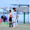 mr17.m0