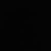 irrgp.1