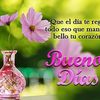 flor.silvestre5949