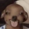 cacalnd4