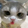 chuyy_zz