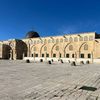 omar.gohar70