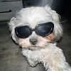 lilliam627