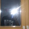 nopalll507
