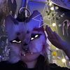 c4tzp3rson_catsperson