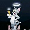 usertiktok.ammu