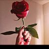 user228181020216