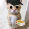 mangotuff_boi