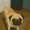gabe.zz1