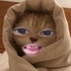 dhlskm