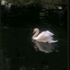 rahaw_88
