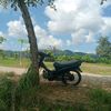 hnysat01