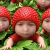 ciy.imut