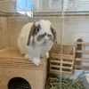 あいな🐰🔥❤️みんなだいすき！フォローしてね！