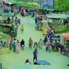 shahno6ground1