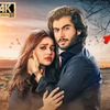 umair.ali8540