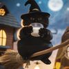 Salem