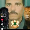 user6117562250608