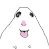 hlgp_tt