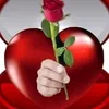 user80341614508697