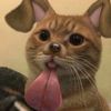 specimell_