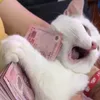 quynh_hoa_79