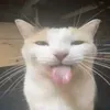emitez27