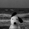 .rin_q