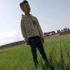user6025545186814