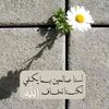 user359058016173