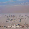 chinchunthe.best