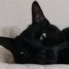 tutuaris74