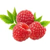 raspberry.ar