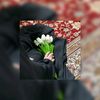 jonee221