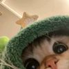chik_chik60